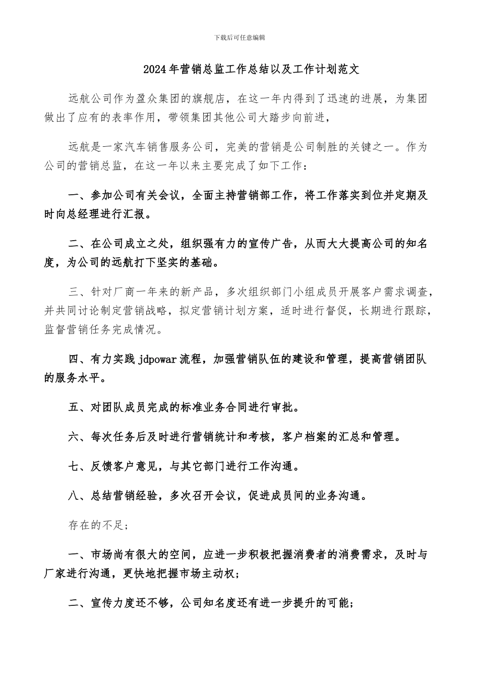 2024年营销总监工作总结以及工作计划范文_第1页