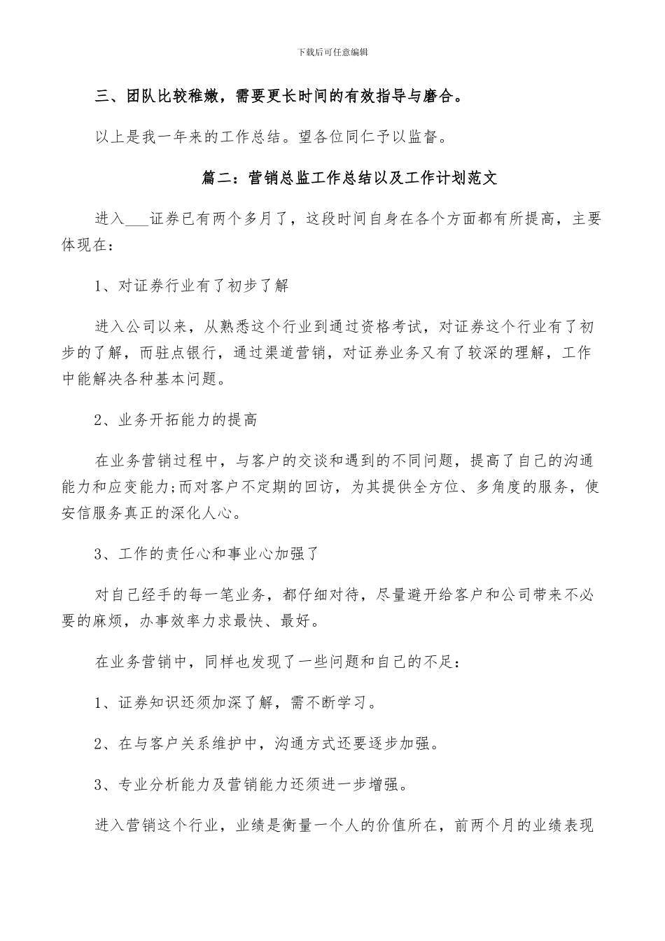 2024年营销总监工作总结以及工作计划范文_第2页