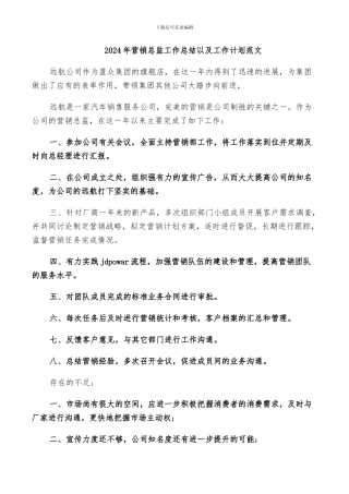 2024年营销总监工作总结以及工作计划范文