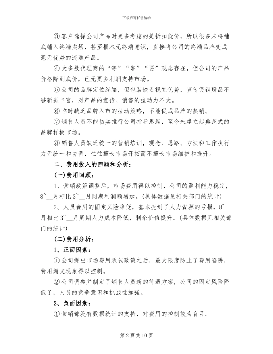 2024年营销总监工作总结范文_第2页