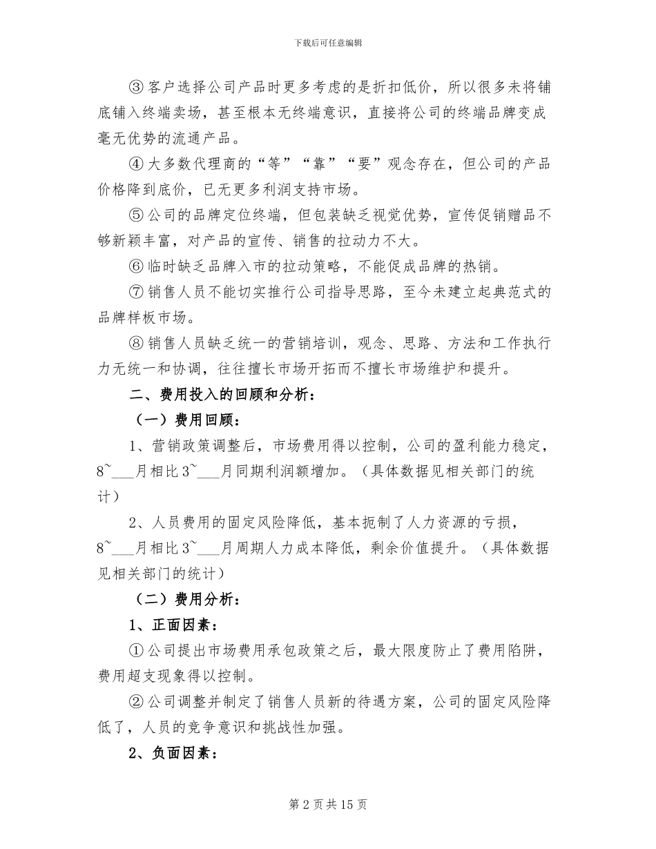 2024年营销总监年度工作总结_第2页