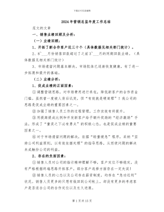 2024年营销总监年度工作总结