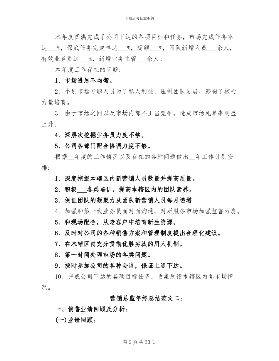 2024年营销总监年终总结_第2页