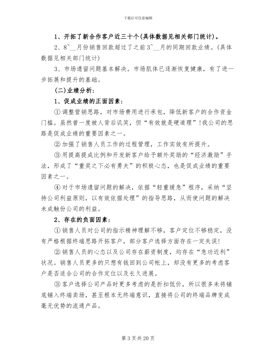 2024年营销总监年终总结_第3页