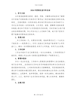 2024年营销总监年终总结