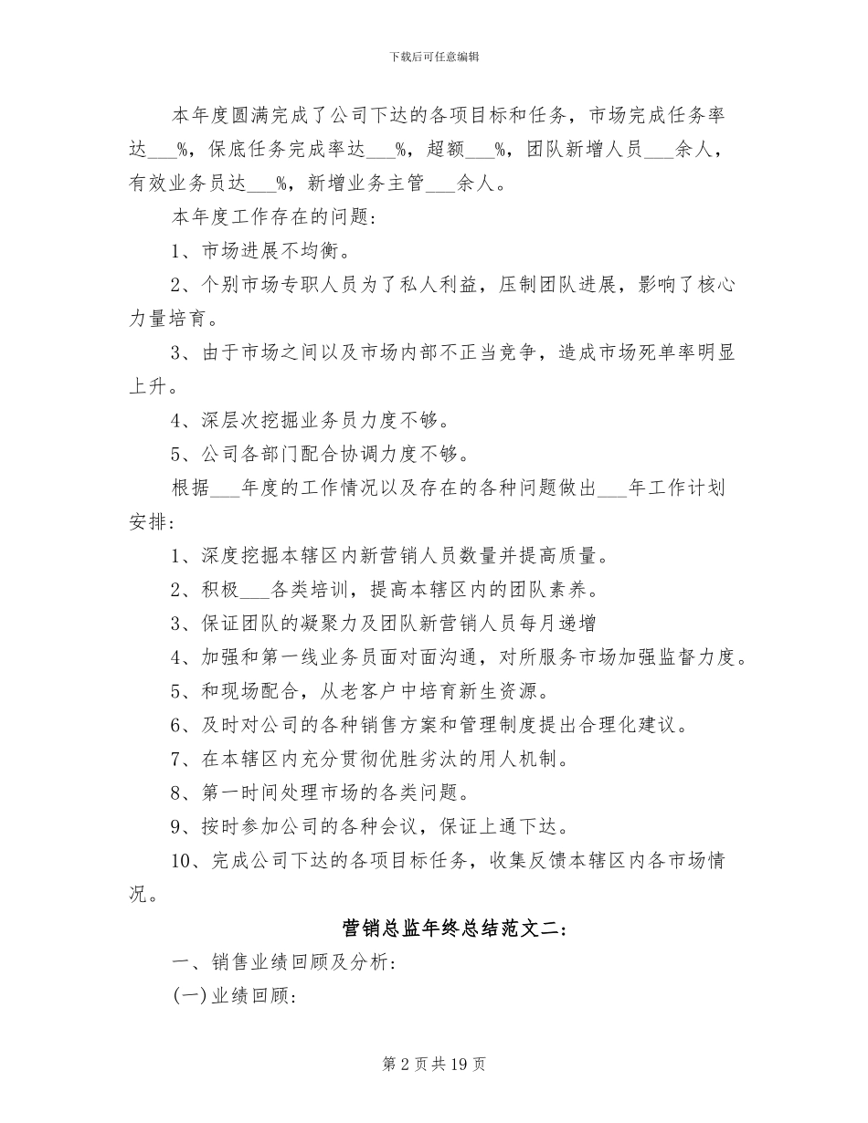 2024年营销总监年终总结范文_第2页
