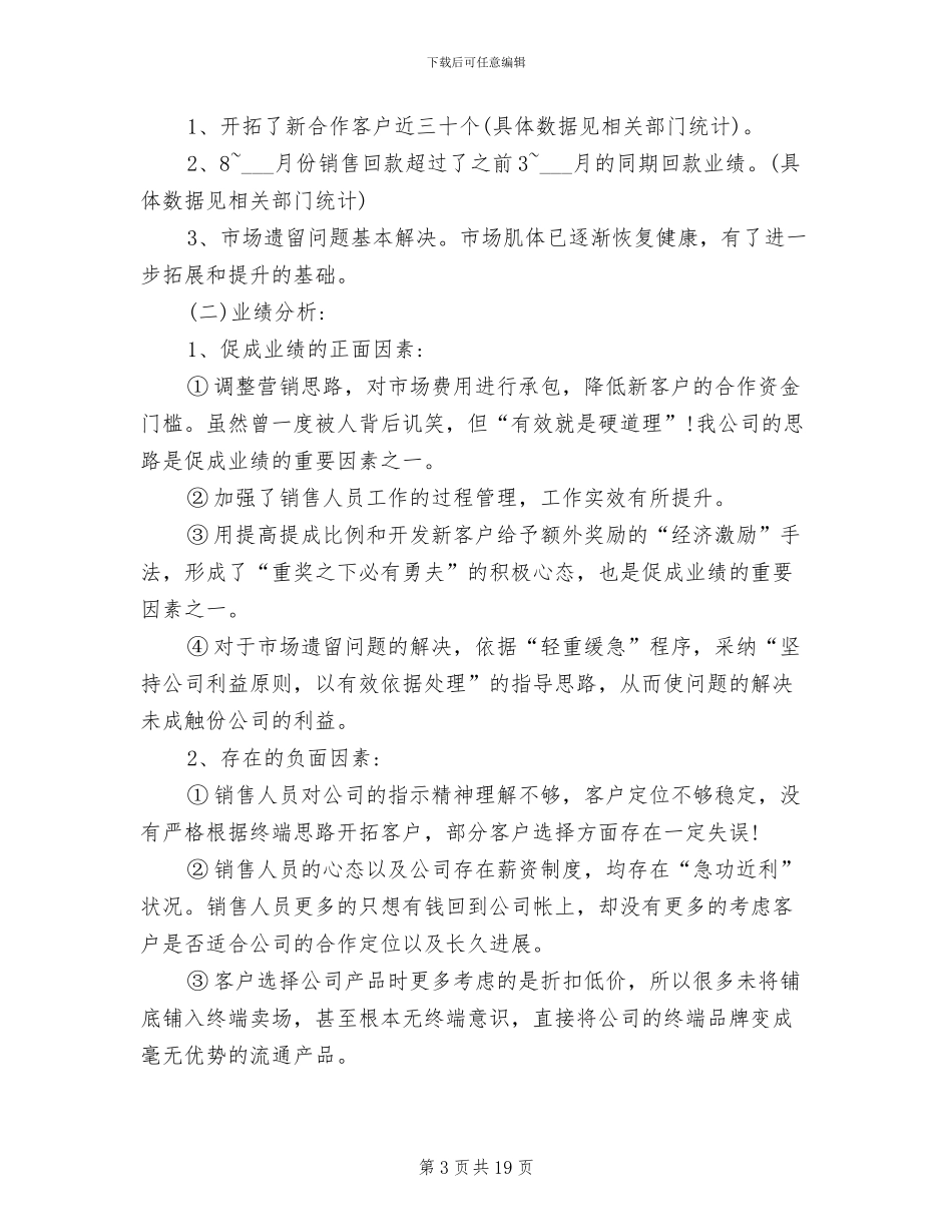 2024年营销总监年终总结范文_第3页