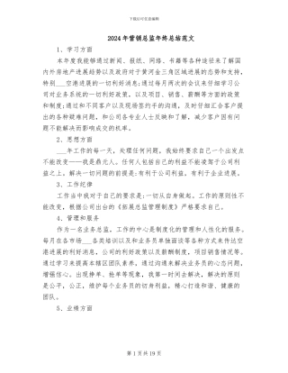 2024年营销总监年终总结范文