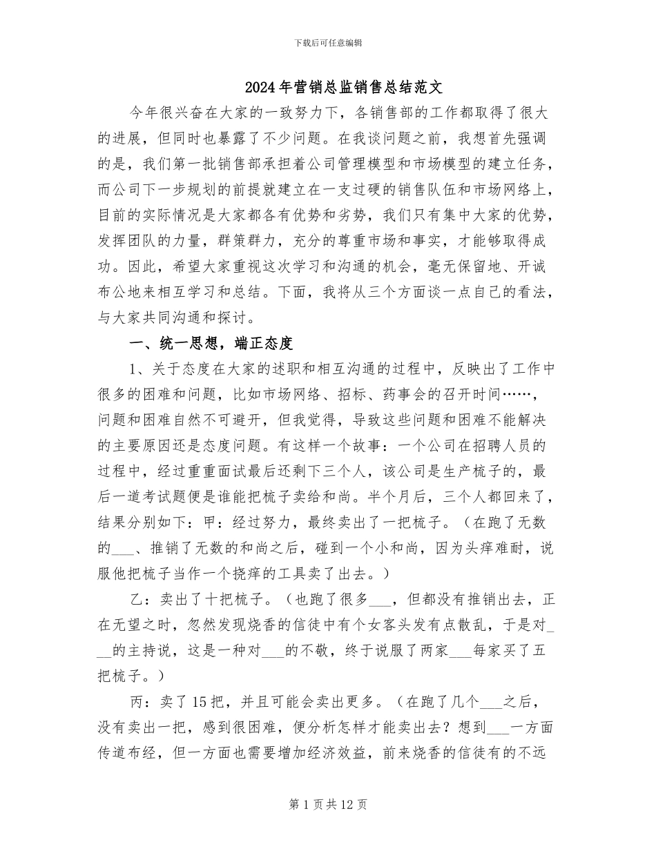 2024年营销总监销售总结范文_第1页