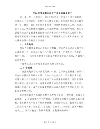 2024年营销策划转正工作总结报告范文