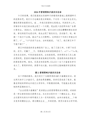 2024年营销策略沙盘实训总结