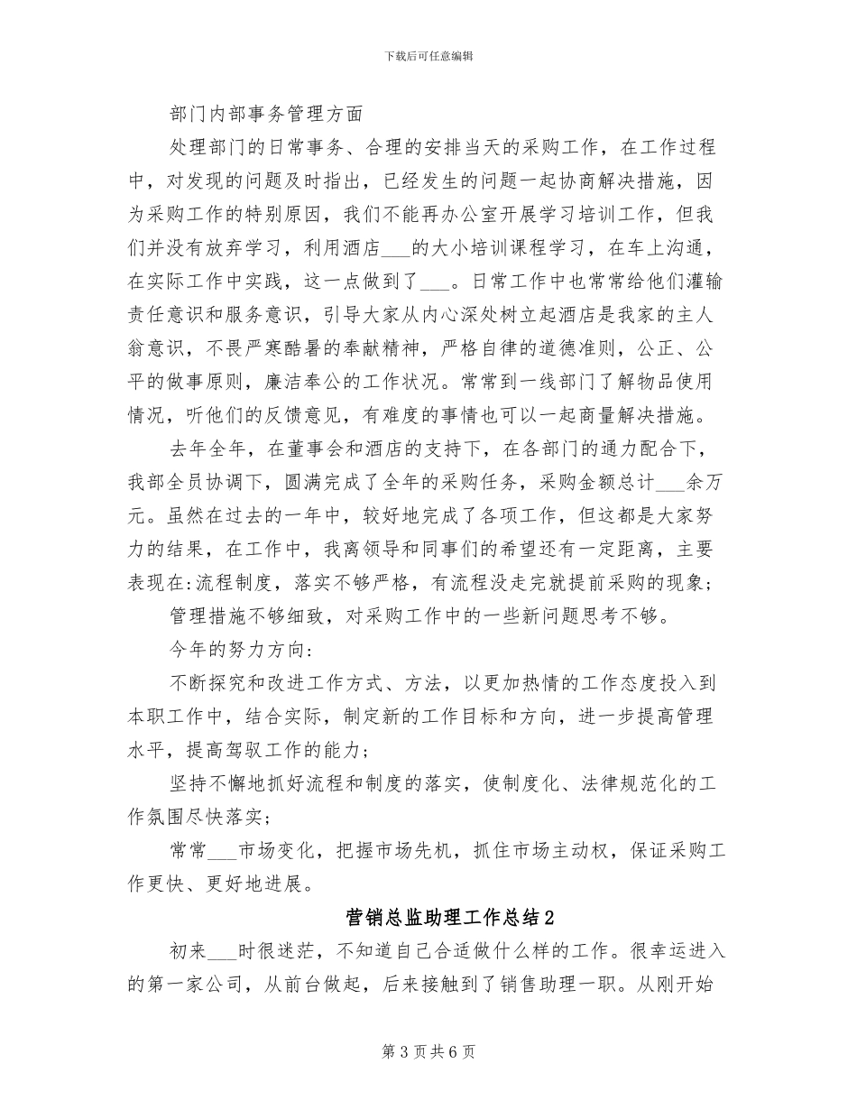 2024年营销总监助理工作总结_第3页