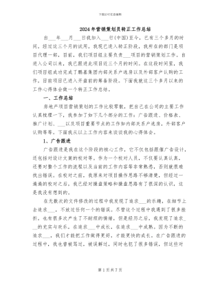 2024年营销策划员转正工作总结