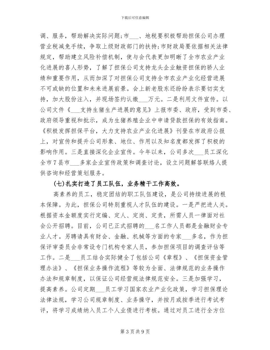 2024年融资企业工作总结年终总结_第3页