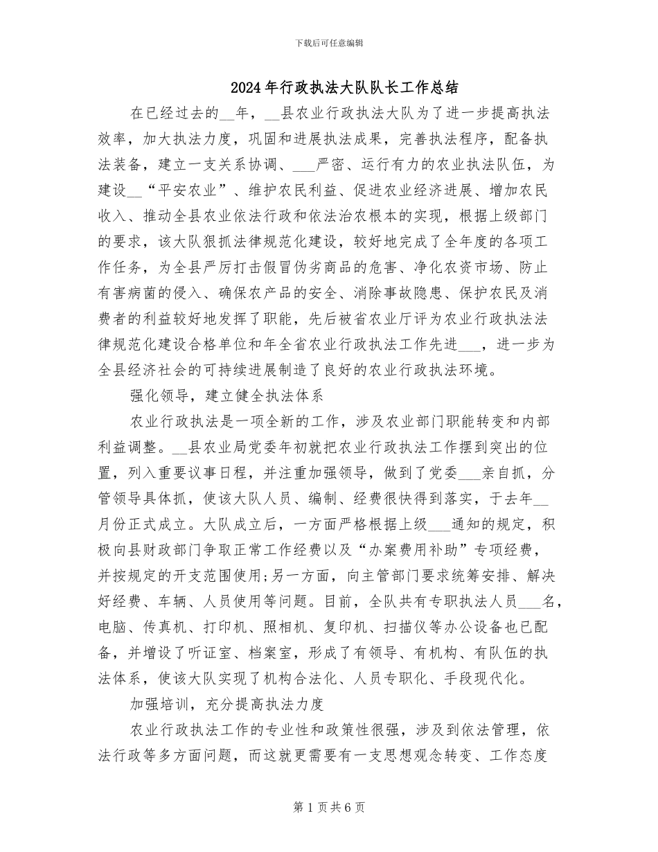 2024年行政执法大队队长工作总结_第1页