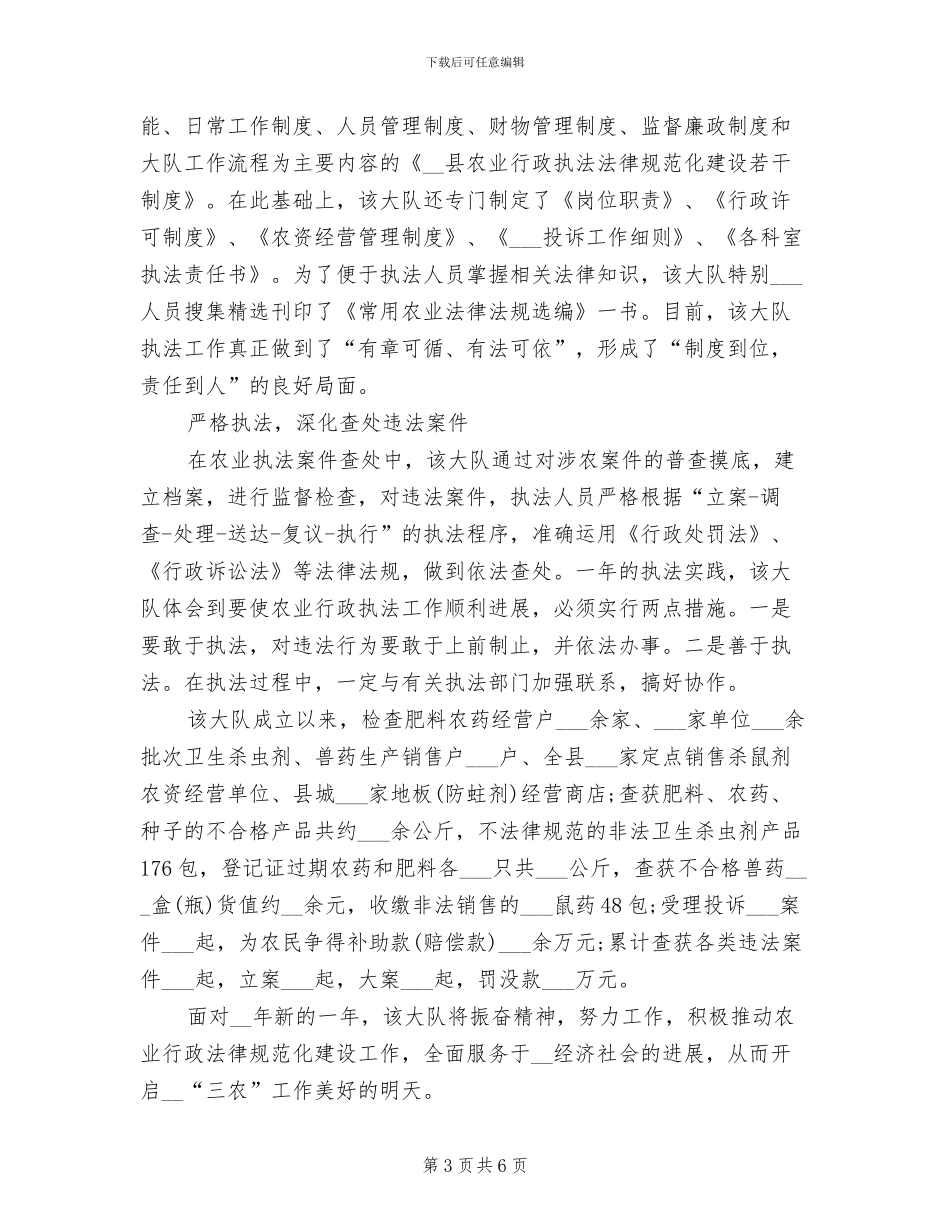 2024年行政执法大队队长工作总结_第3页