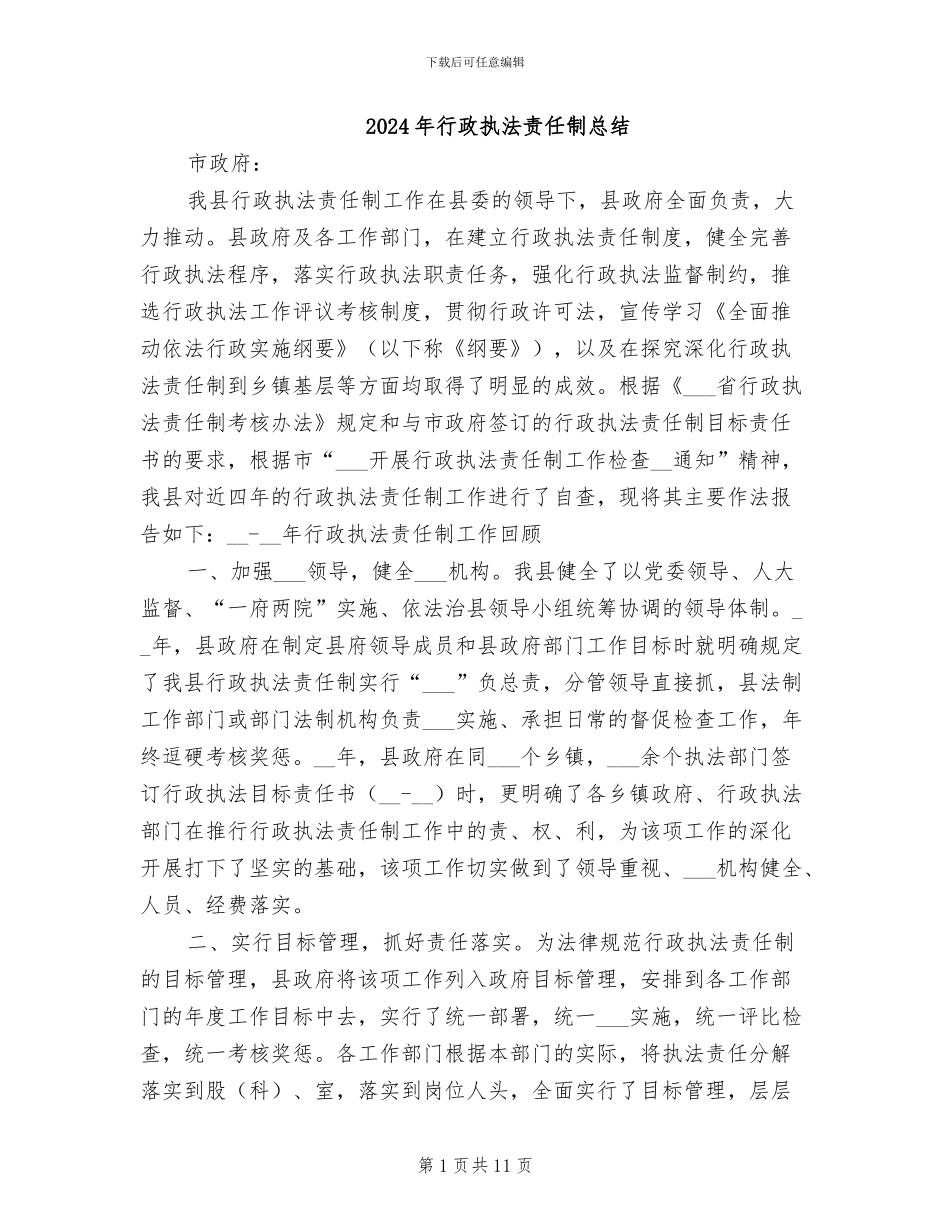 2024年行政执法责任制总结_第1页