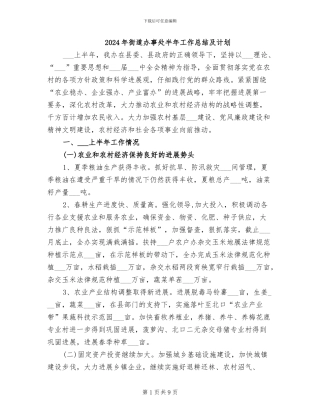 2024年街道办事处半年工作总结及计划