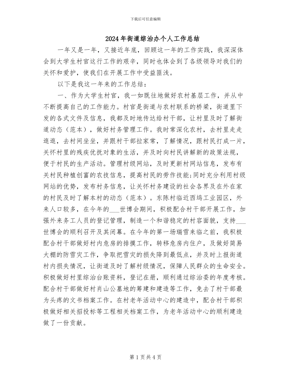 2024年街道综治办个人工作总结_第1页