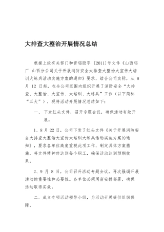 大排查大整治开展情况总结