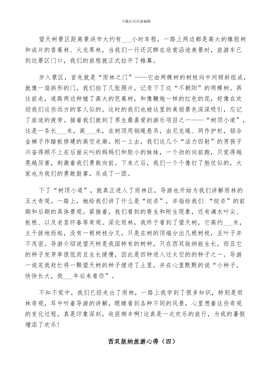 2024年西双版纳旅游总结范本_第3页