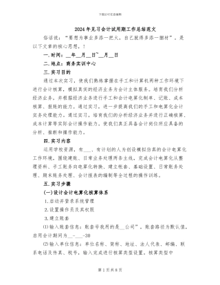 2024年见习会计试用期工作总结范文