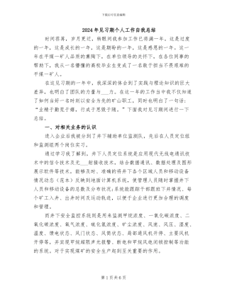 2024年见习期个人工作自我总结