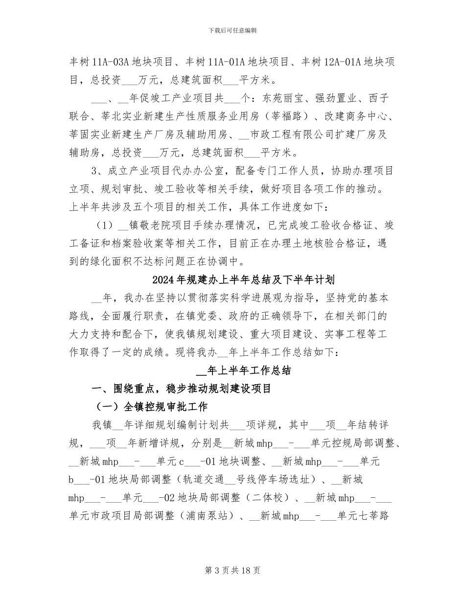 2024年规建办上半年工作总结及下半年工作计划_第3页