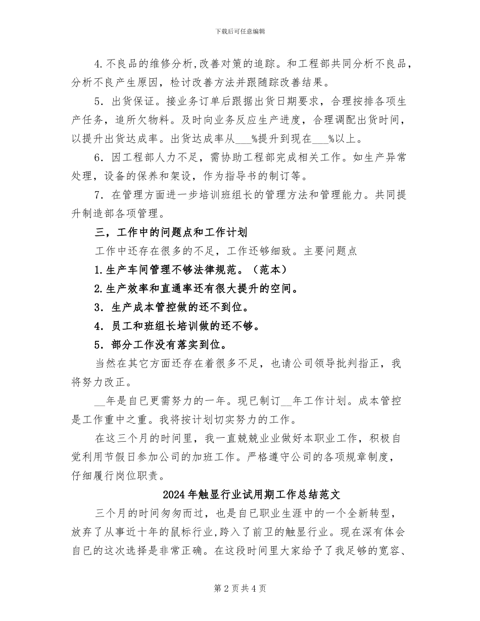 2024年触显行业试用期工作总结_第2页