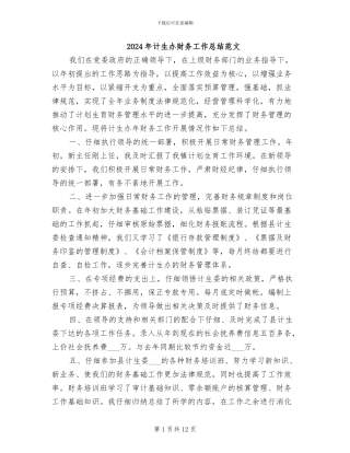 2024年计生办财务工作总结范文