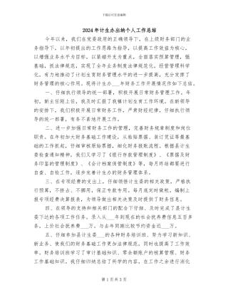 2024年计生办出纳个人工作总结