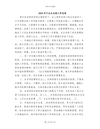 2024年计生办出纳工作总结