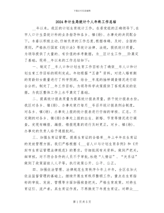 2024年计生局统计个人年终工作总结