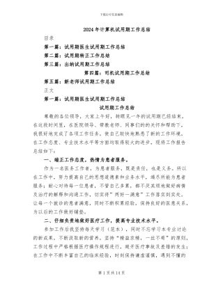 2024年计算机试用期工作总结