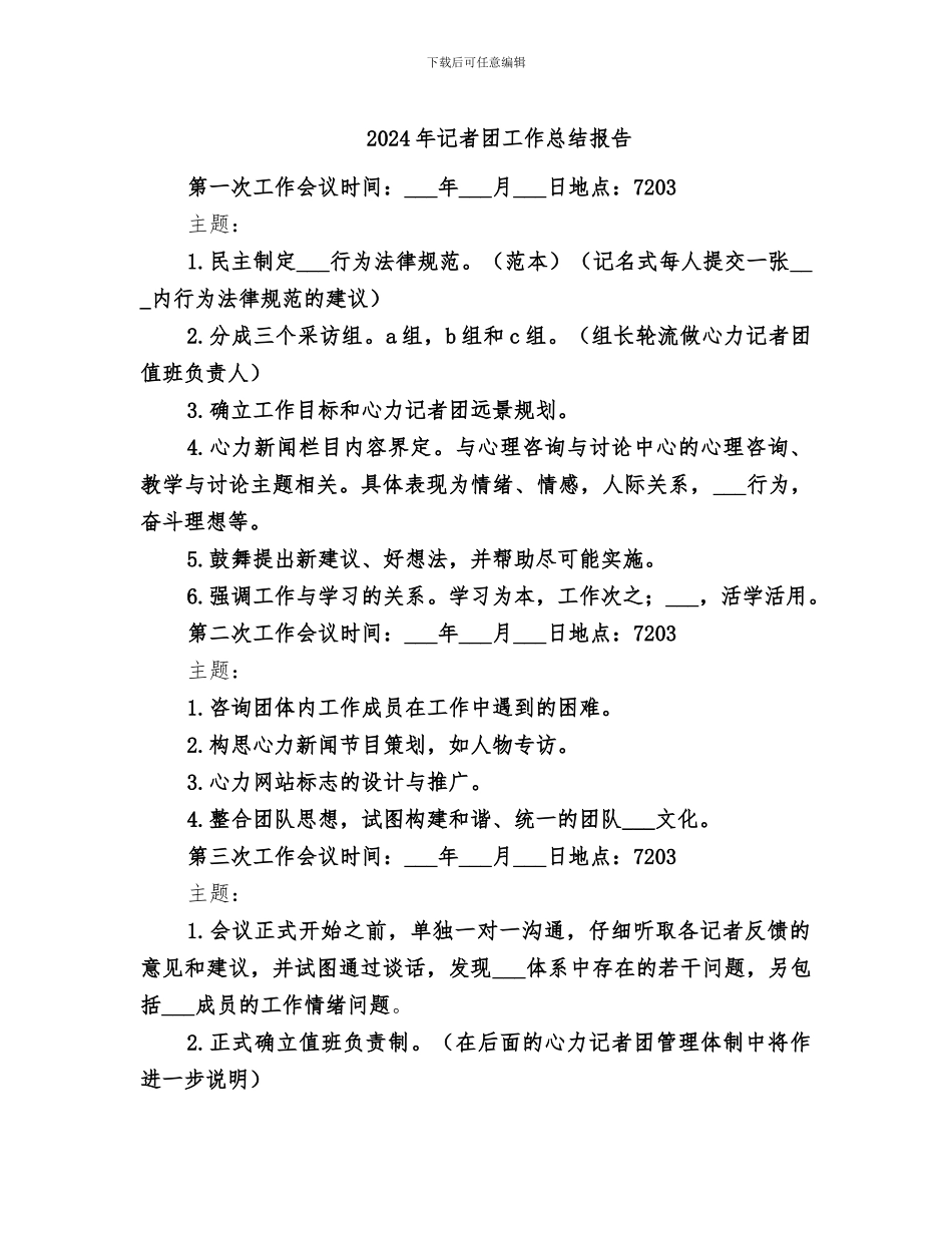 2024年记者团工作总结报告_第1页