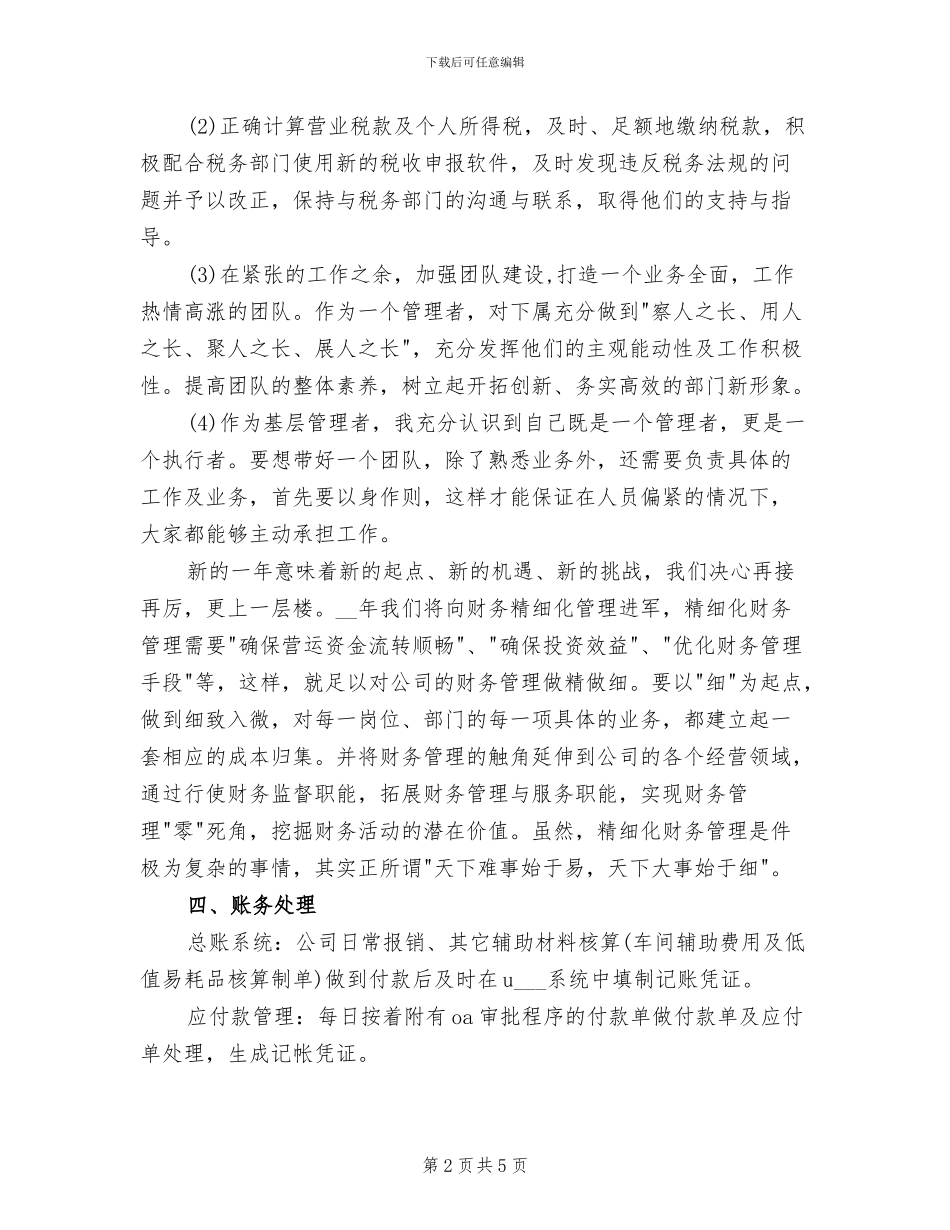 2024年记账员个人工作总结_第2页