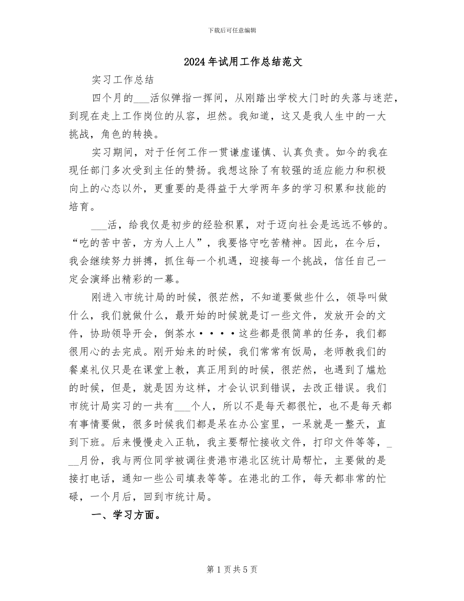 2024年试用工作总结范文_第1页