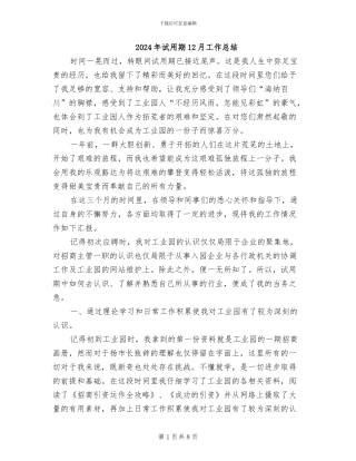 2024年试用期12月工作总结
