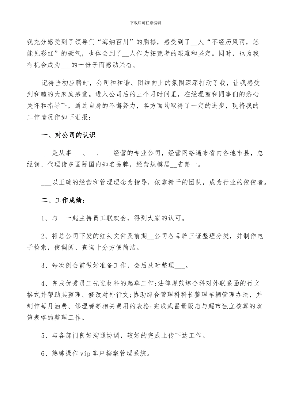 2024年试用期个人工作总结与计划范文_第2页