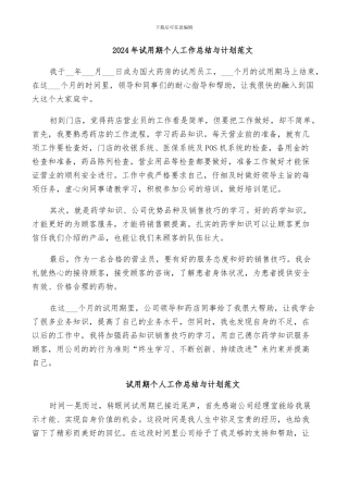2024年试用期个人工作总结与计划范文