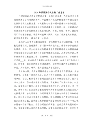 2024年试用期个人业绩工作总结