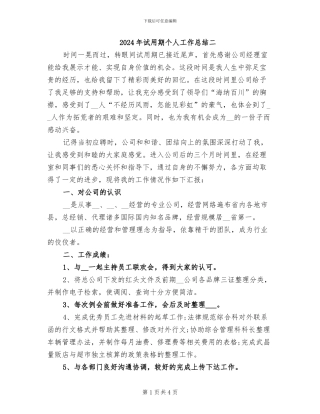 2024年试用期个人工作总结二