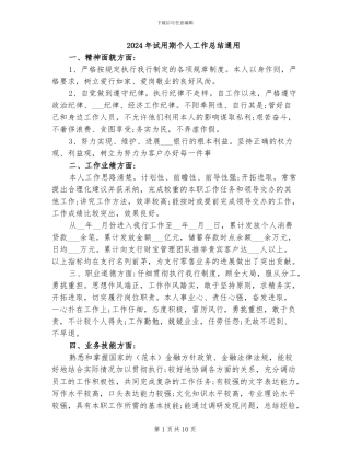 2024年试用期个人工作总结通用