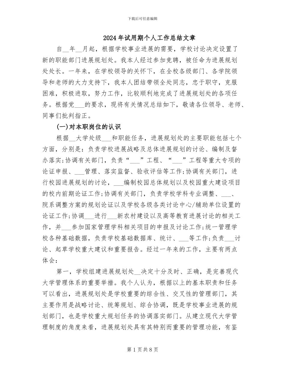 2024年试用期个人工作总结文章_第1页