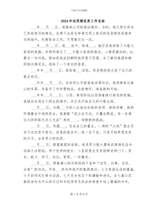 2024年试用期优秀工作总结