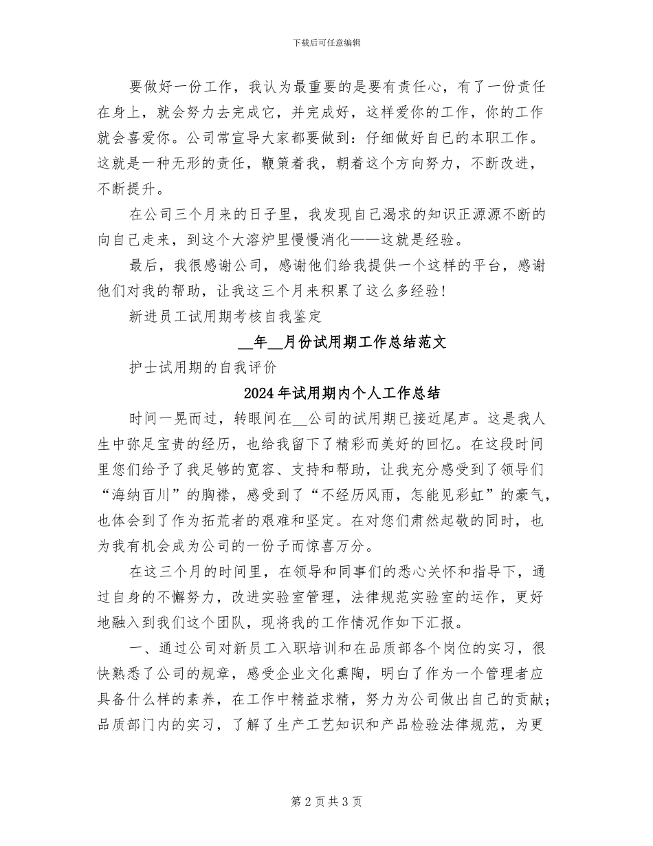 2024年试用期公司个人工作总结_第2页