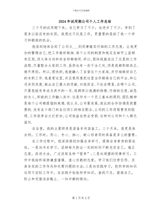 2024年试用期公司个人工作总结