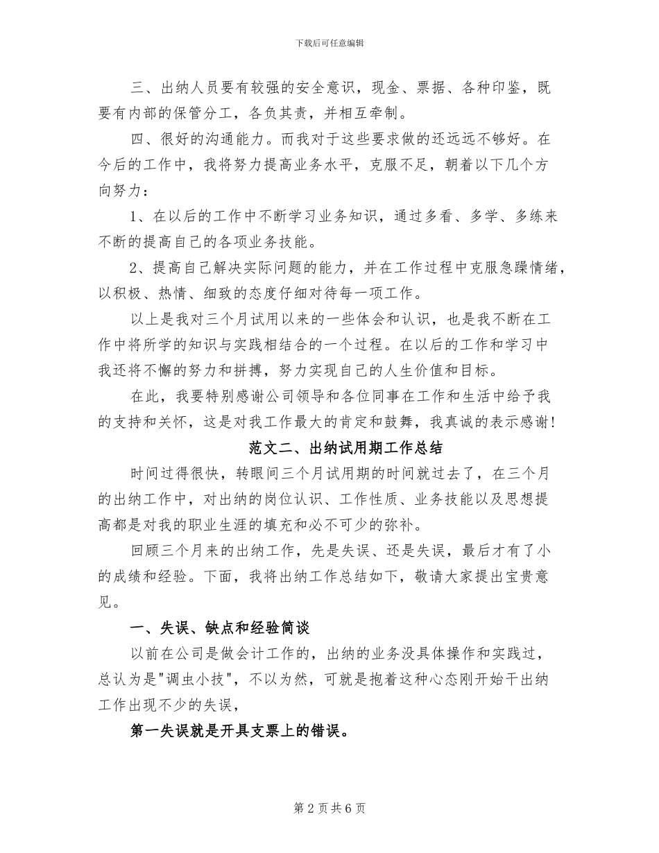 2024年试用期出纳工作总结报告_第2页
