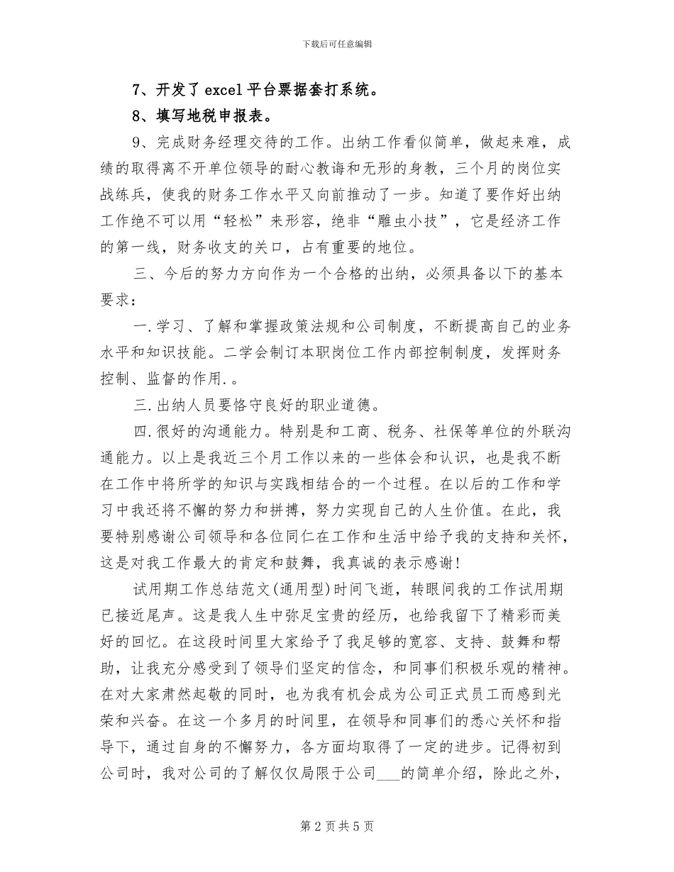 2024年试用期出纳工作小结范文_第2页