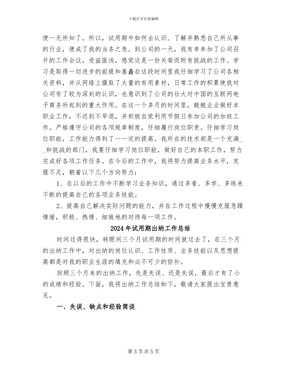 2024年试用期出纳工作小结范文_第3页